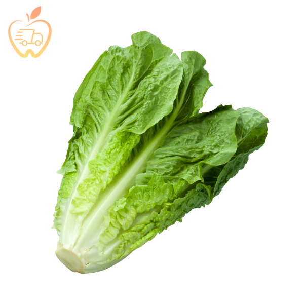 Lechuga Costina Un