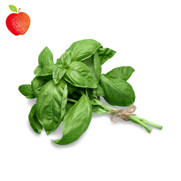 Albahaca