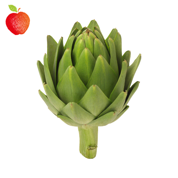 Alcachofa Española
