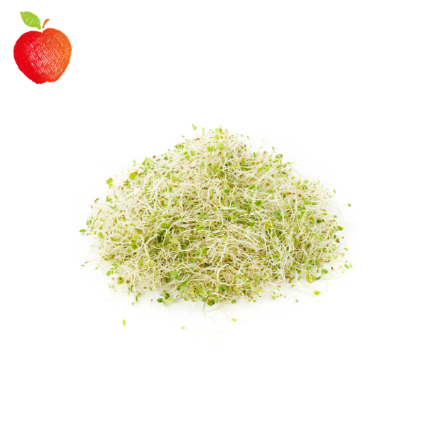 Brote De Alfalfa