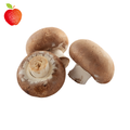 Champiñon Portobello