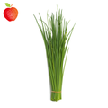 Ciboulette