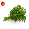 Cilantro