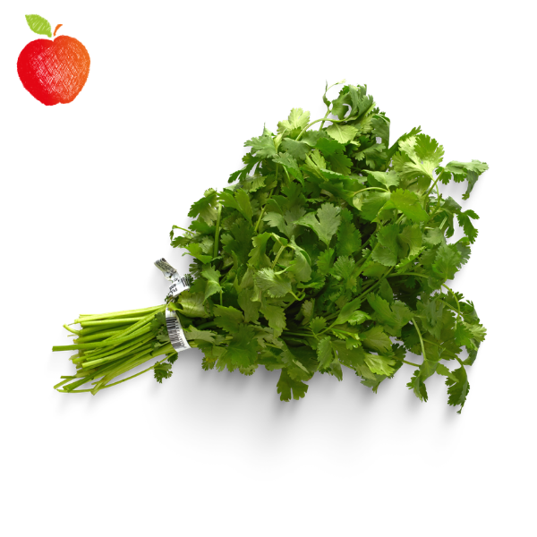 Cilantro