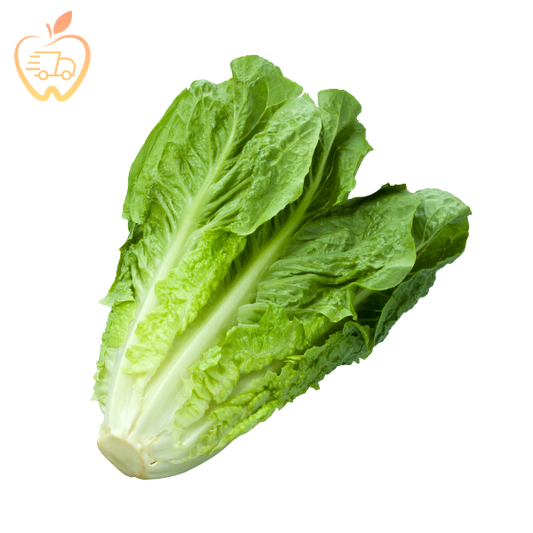 Lechuga Costina Un