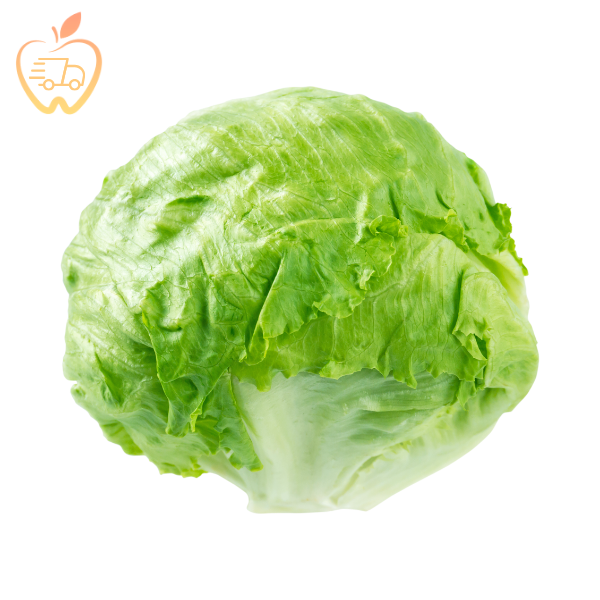 Lechuga Escarola