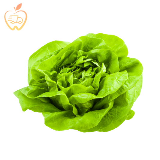Lechuga Española Un
