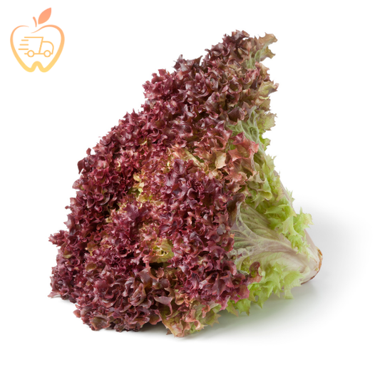 Lechuga Hidroponica Lollo Rosa Un