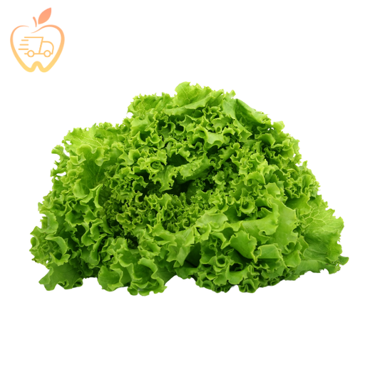 Lechuga Hidropónica Lollo Verde Un